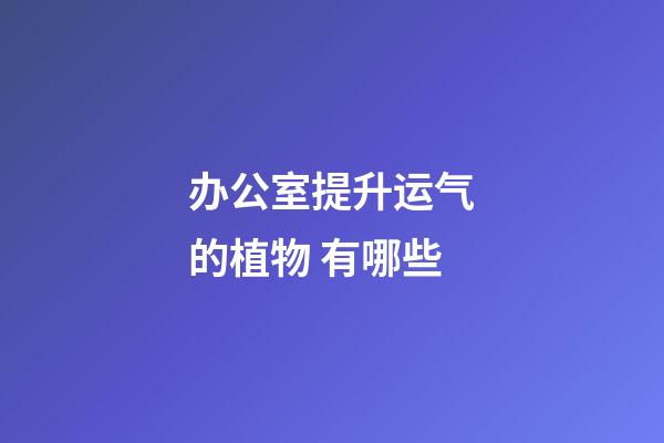 办公室提升运气的植物 有哪些